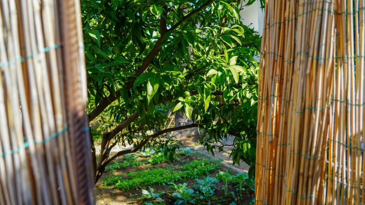 Charming Two-Bed Apartment Orange Garden Sutivan Luaran gambar